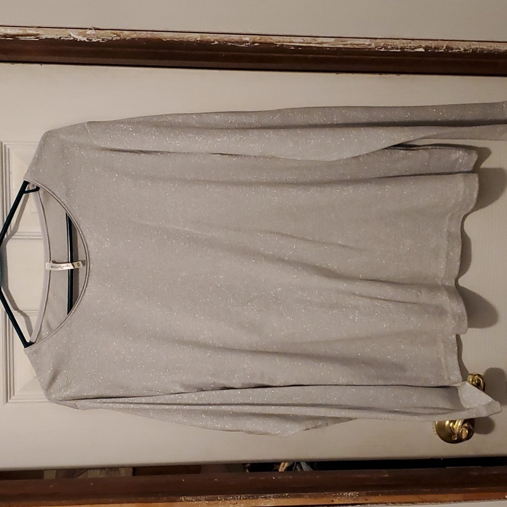 Silver Color Long Sleeve Top